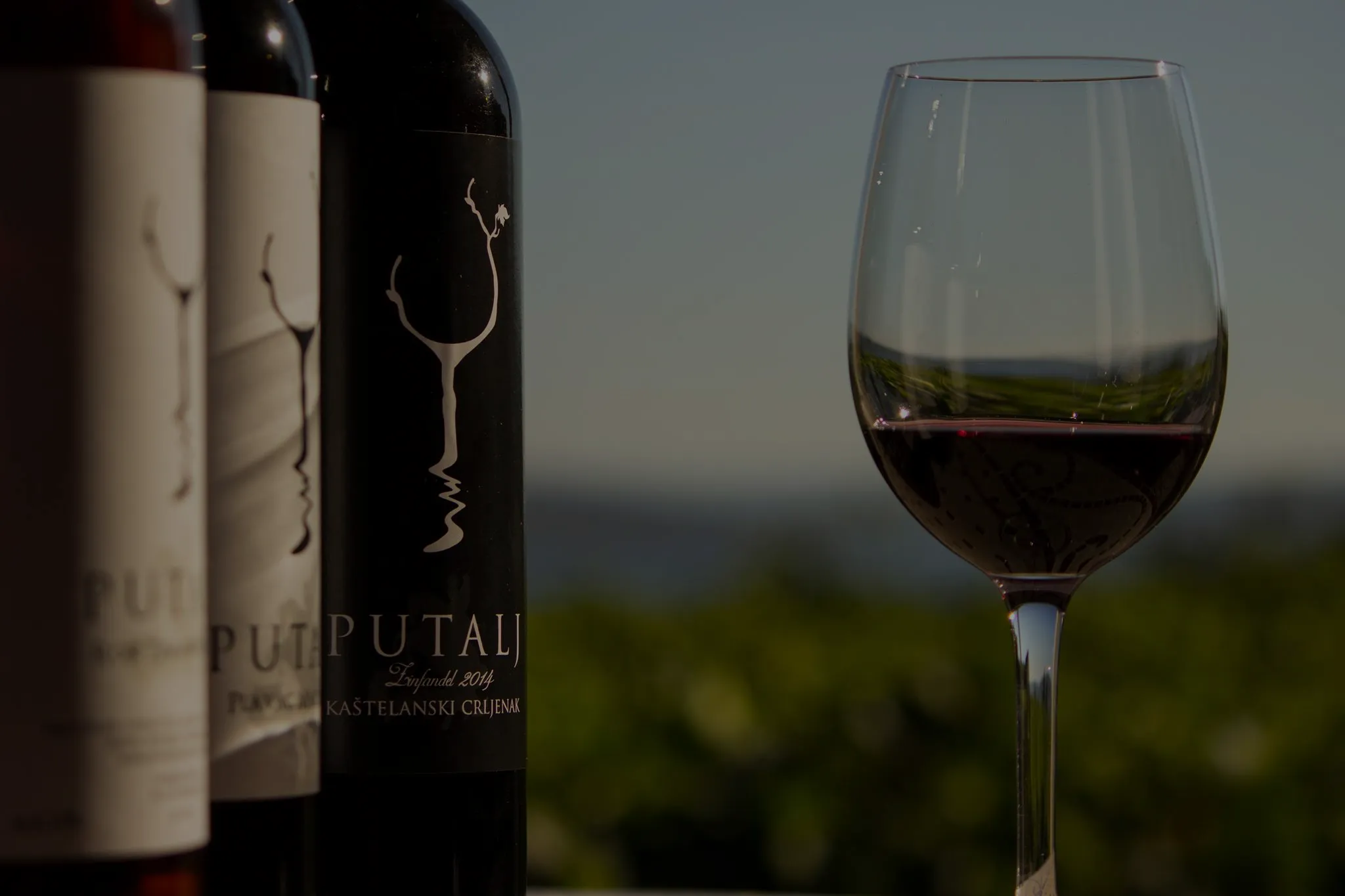 Putalj vineyard overlooking the Dalmatian coast